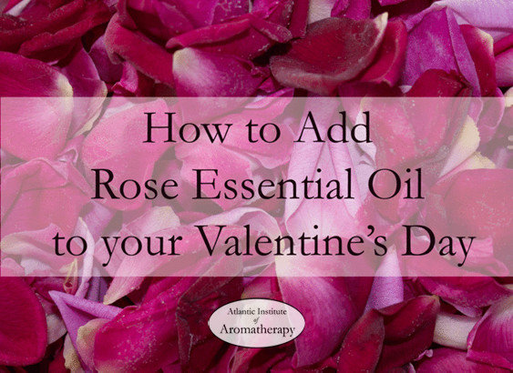 50 Shades of Rose (otto) or 7 Ways to Use Rose This Valentine’s Day
