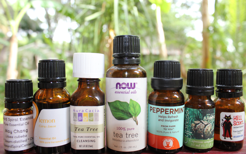 What Essential Oil Brands are Best?