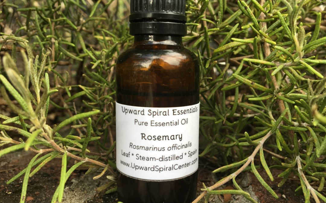 Oil of the Week: Rosemary