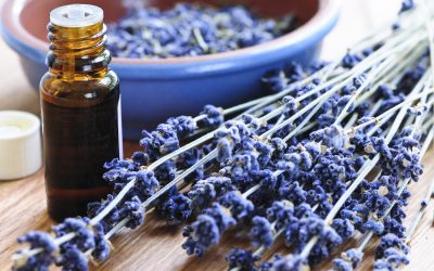 Career Opportunities in Aromatherapy