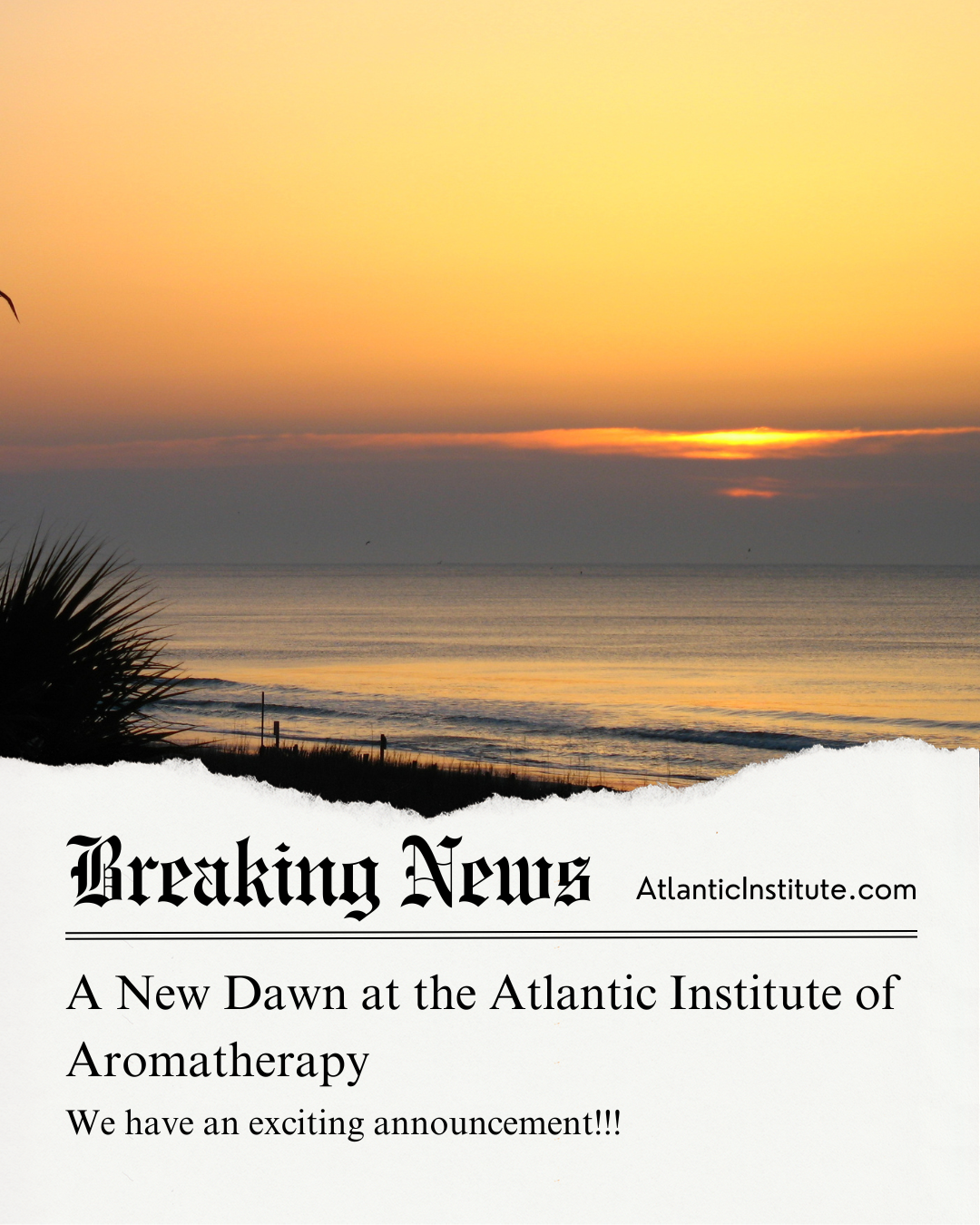 New Dawn at Atlantic Institute